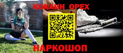 стаф Шелехов