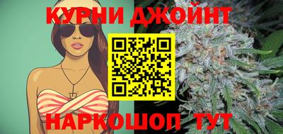 стаф Шелехов