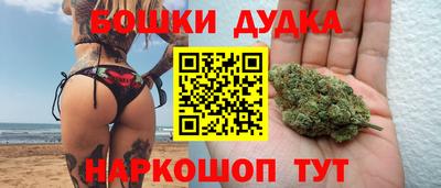 стаф Шелехов
