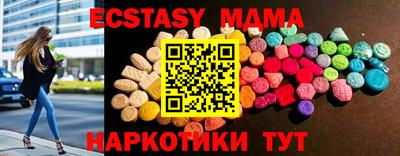 стаф Шелехов