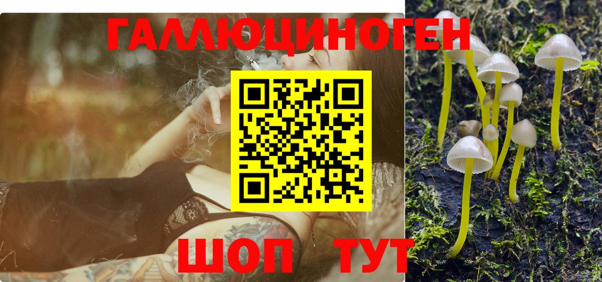 Архангельск  Галлюциногенные грибы ЛСД  Вход с VPN 